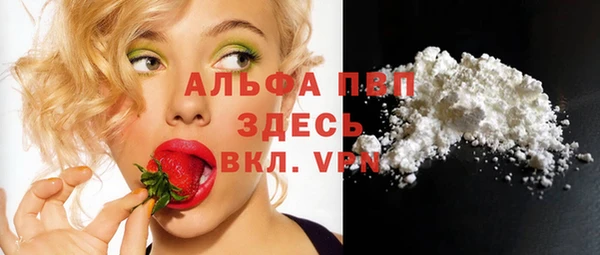 хмурый Липки