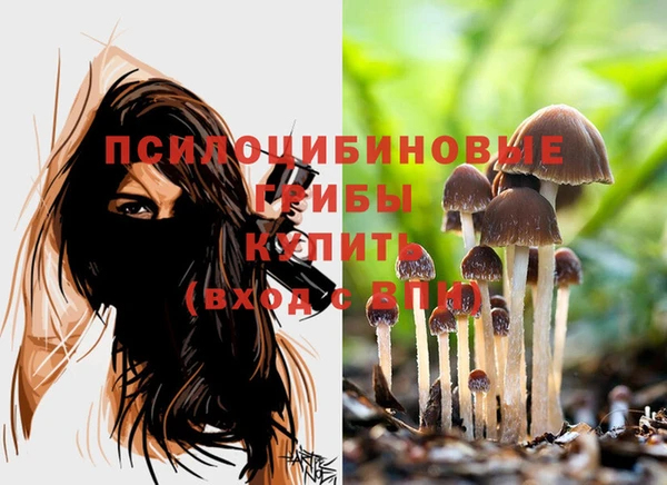 jwh Лиски