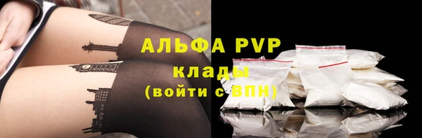 хмурый Липки