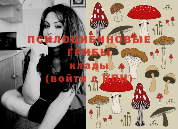 хмурый Липки