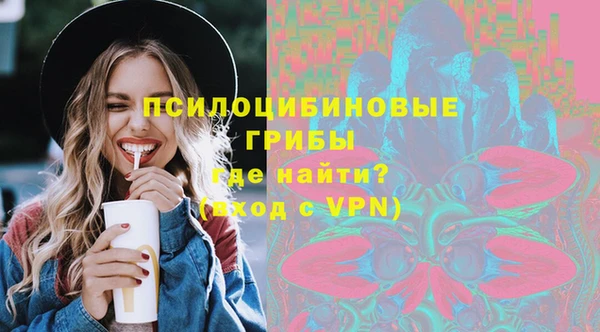 хмурый Липки
