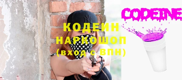хмурый Липки