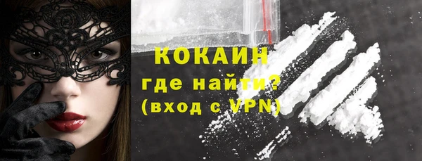 хмурый Липки